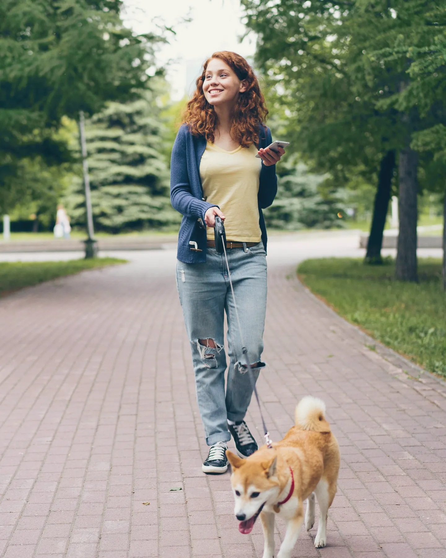 A walker and her shiba on a brick path